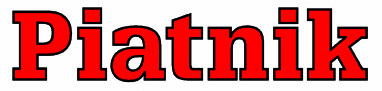 Piatnik Logo.jpg